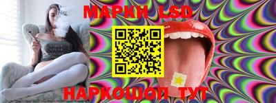 стафф Будённовск